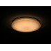 DALEN inteligentné LED stropné osvetlenie DL-F56T